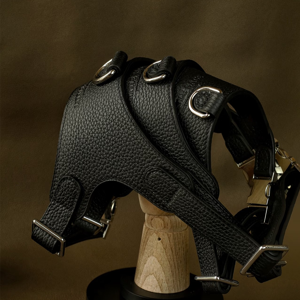 Luxury Leather Pet Harness | Handmade Dog & Cat Collar by Pawrapal | Adjustable Designer Harness