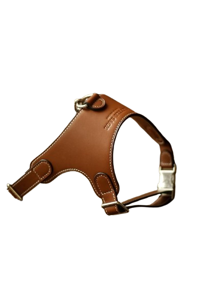 Luxury Leather Pet Harness in rich brown leather with elegant curves and durable silver buckle