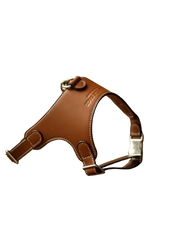Luxury Leather Pet Harness | Handmade Dog & Cat Collar by Pawrapal | Adjustable Designer Harness
