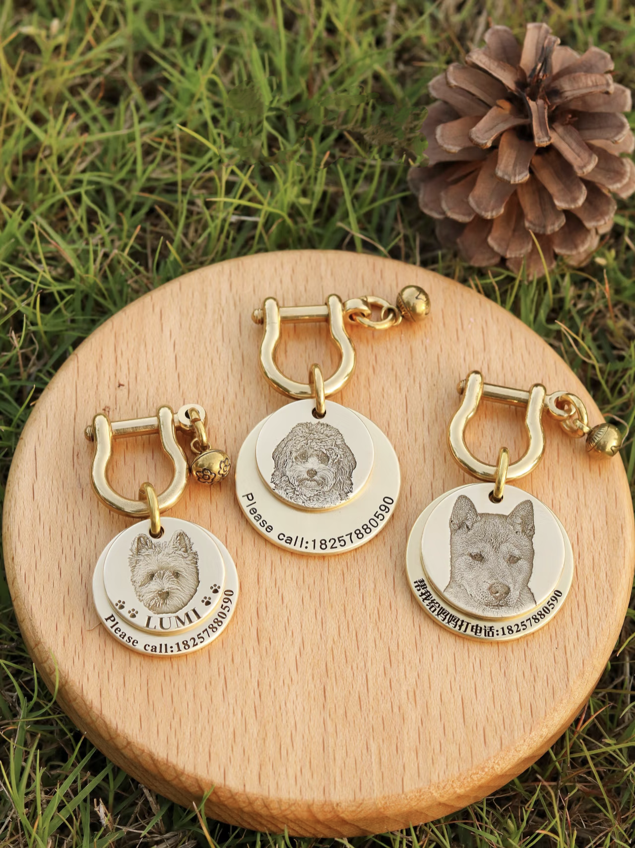 Personalized Pet ID Tag | Custom Engraved Dog & Cat Name Tag – Durable & Stylish