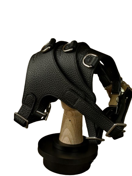 Luxury Leather Pet Harness on display, showcasing premium craftsmanship and elegant design by Pawrapal.