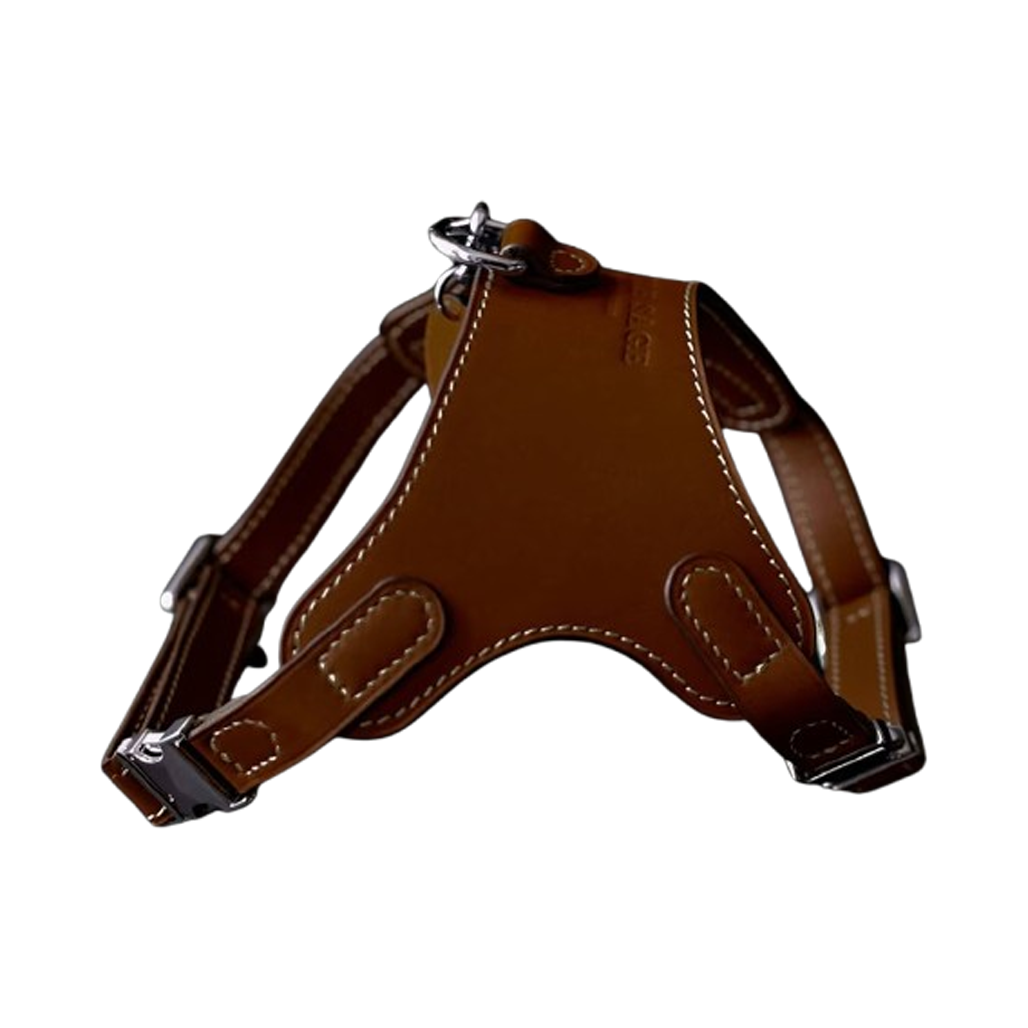 Luxury Leather Pet Harness in elegant brown leather with silver hardware for dogs and cats by Pawrapal.
