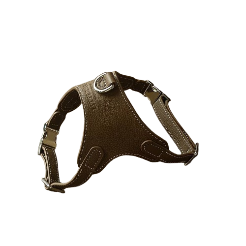 Luxury Leather Pet Harness handcrafted with premium leather for dogs and cats by Pawrapal.