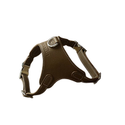 Luxury Leather Pet Harness | Handmade Dog & Cat Collar by Pawrapal | Adjustable Designer Harness