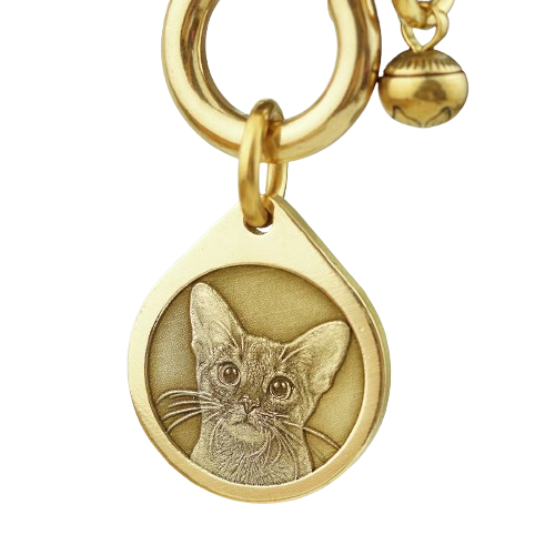 Personalized Pet ID Tag | Custom Engraved Dog & Cat Name Tag – Durable & Stylish