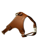 Luxury Leather Pet Harness | Handmade Dog & Cat Collar by Pawrapal | Adjustable Designer Harness