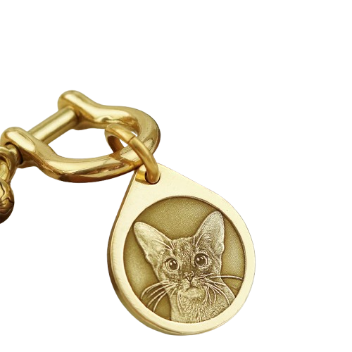 Personalized Pet ID Tag | Custom Engraved Dog & Cat Name Tag