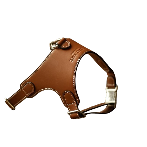 Luxury Leather Pet Harness | Handmade Dog & Cat Collar by Pawrapal | Adjustable Designer Harness