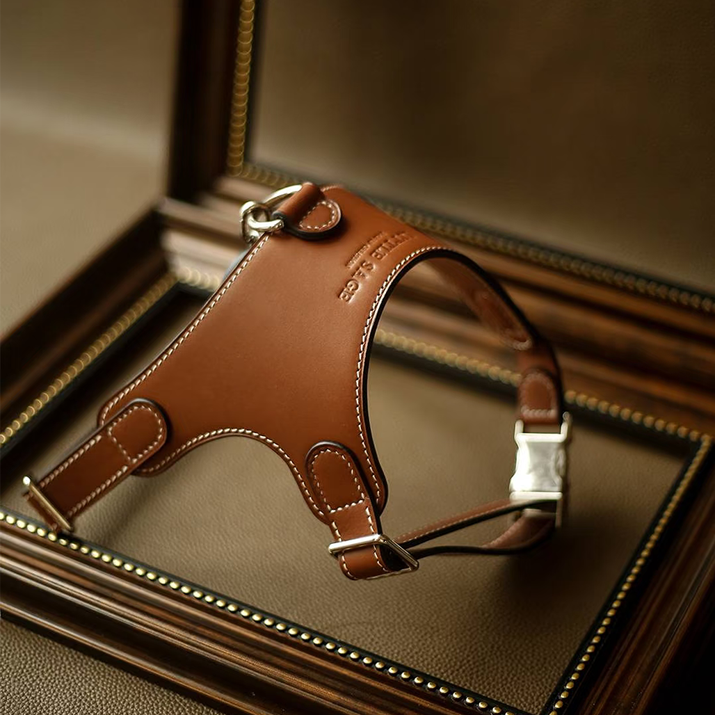 Luxury Leather Pet Harness | Handmade Dog & Cat Collar by Pawrapal | Adjustable Designer Harness