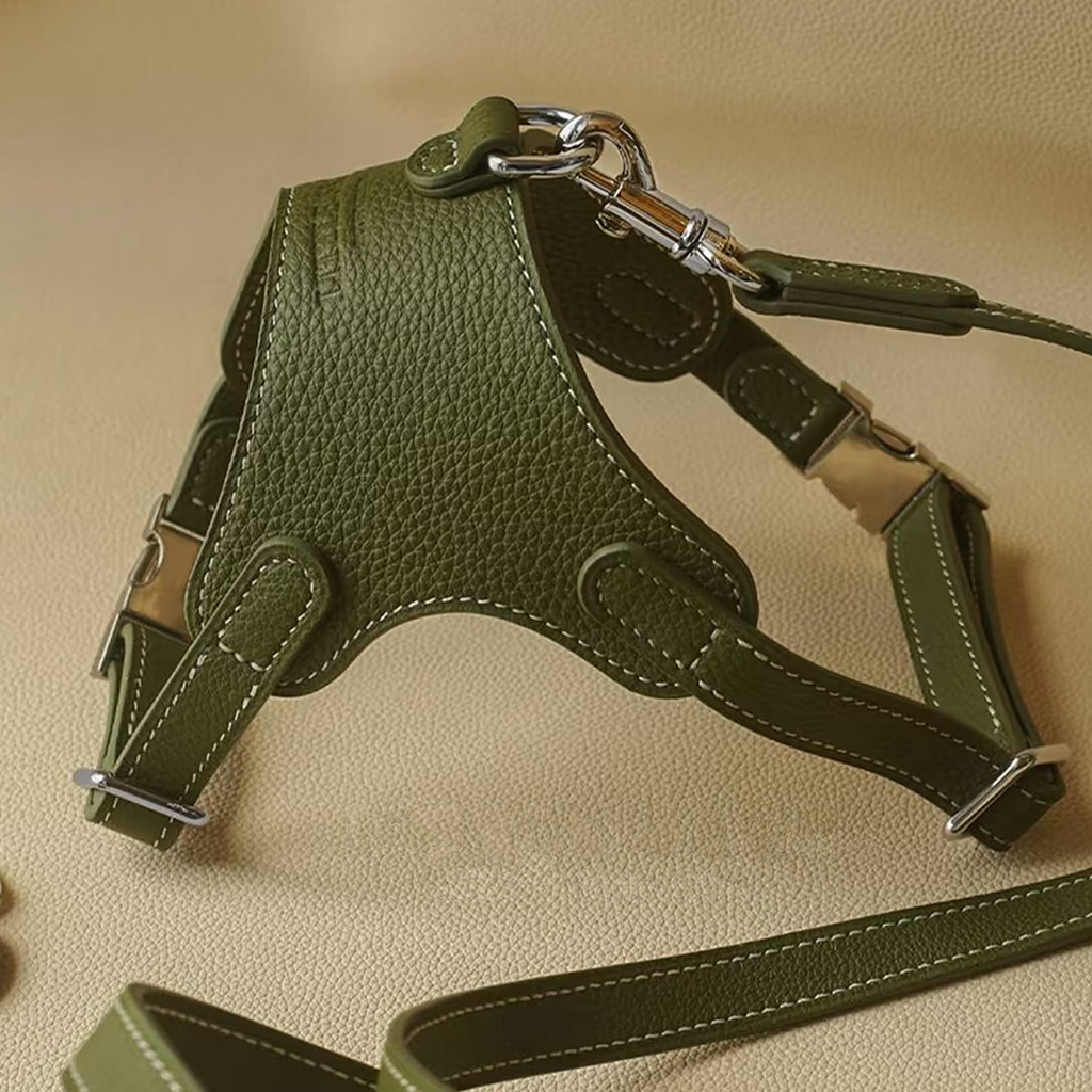 Luxury Leather Pet Harness | Handmade Dog & Cat Collar by Pawrapal | Adjustable Designer Harness