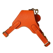 Luxury Leather Pet Harness | Handmade Dog & Cat Collar by Pawrapal | Adjustable Designer Harness