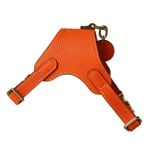 Luxury Leather Pet Harness | Handmade Dog & Cat Collar by Pawrapal | Adjustable Designer Harness
