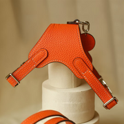 Luxury Leather Pet Harness | Handmade Dog & Cat Collar by Pawrapal | Adjustable Designer Harness