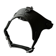 Luxury Leather Pet Harness | Handmade Dog & Cat Collar by Pawrapal | Adjustable Designer Harness