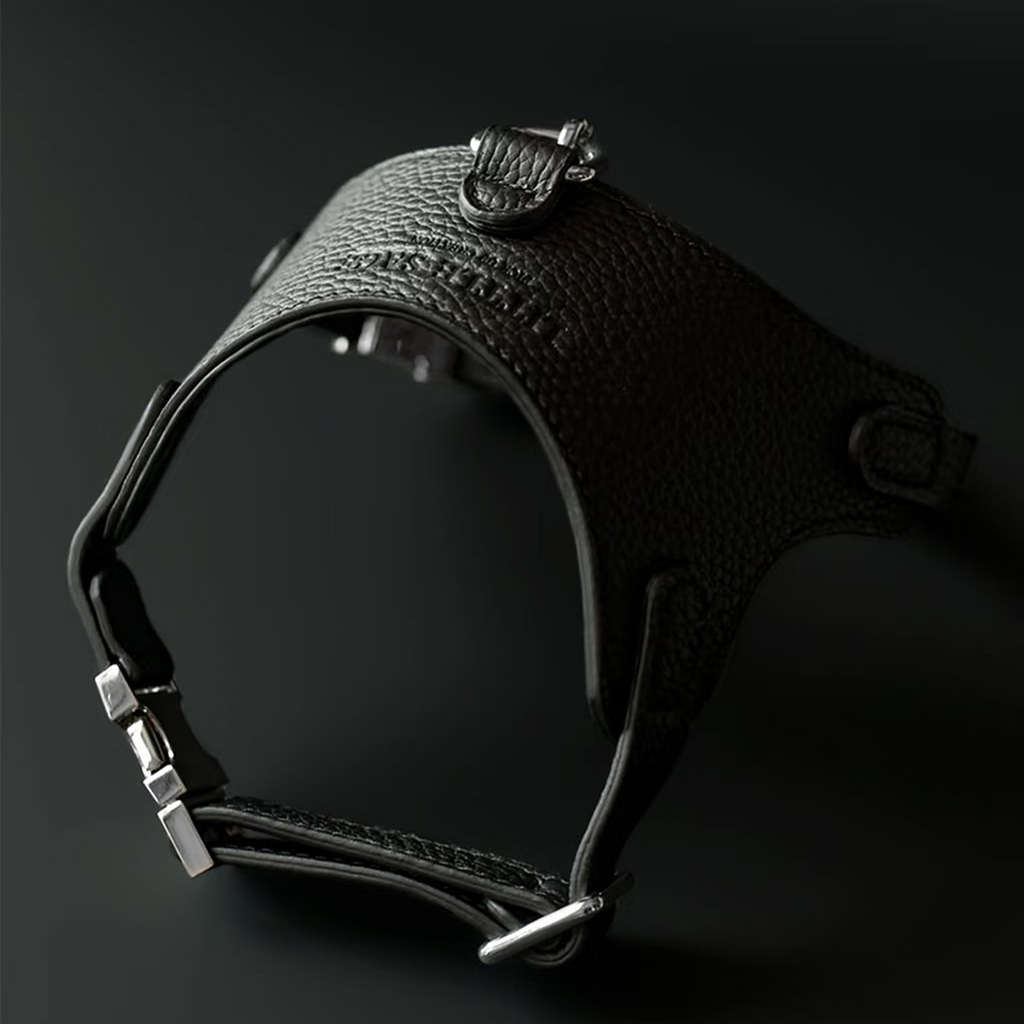 Luxury Leather Pet Harness | Handmade Dog & Cat Collar by Pawrapal | Adjustable Designer Harness