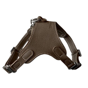 Luxury Leather Pet Harness | Handmade Dog & Cat Collar by Pawrapal | Adjustable Designer Harness