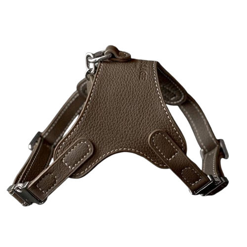 Luxury Leather Pet Harness | Handmade Dog & Cat Collar by Pawrapal | Adjustable Designer Harness