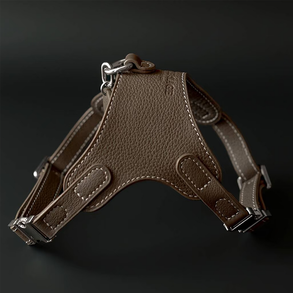 Luxury Leather Pet Harness | Handmade Dog & Cat Collar by Pawrapal | Adjustable Designer Harness