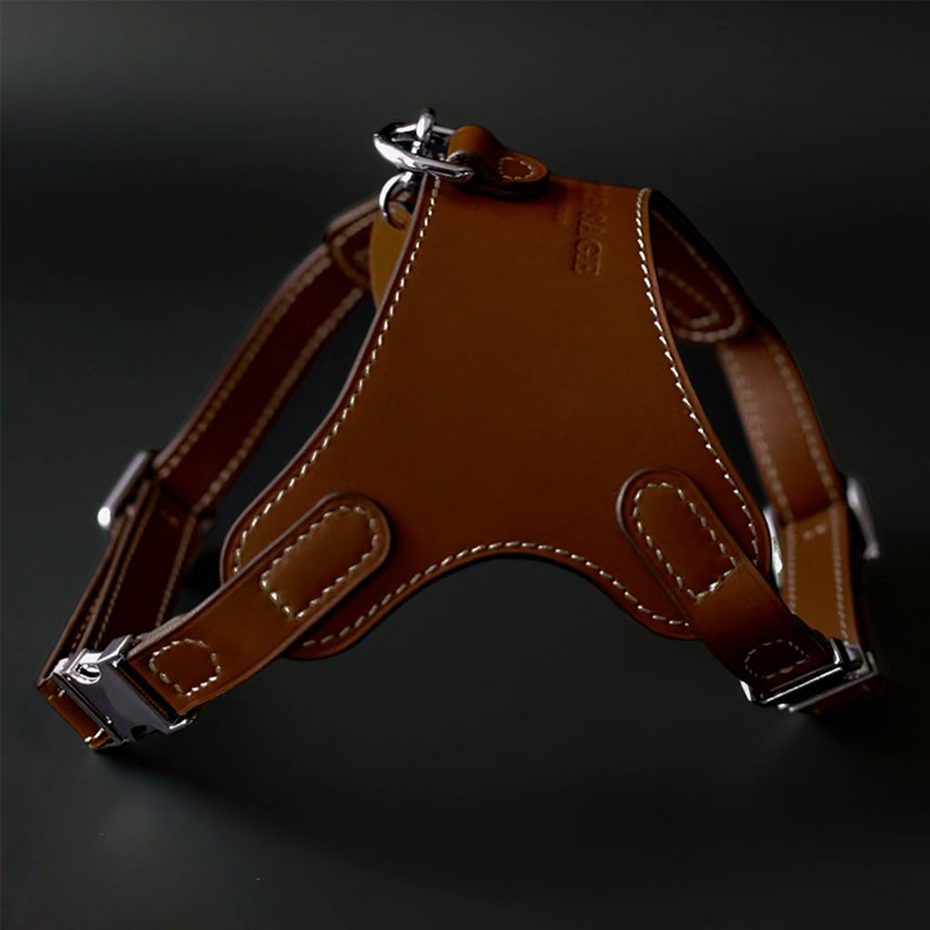 Luxury Leather Pet Harness | Handmade Dog & Cat Collar by Pawrapal | Adjustable Designer Harness