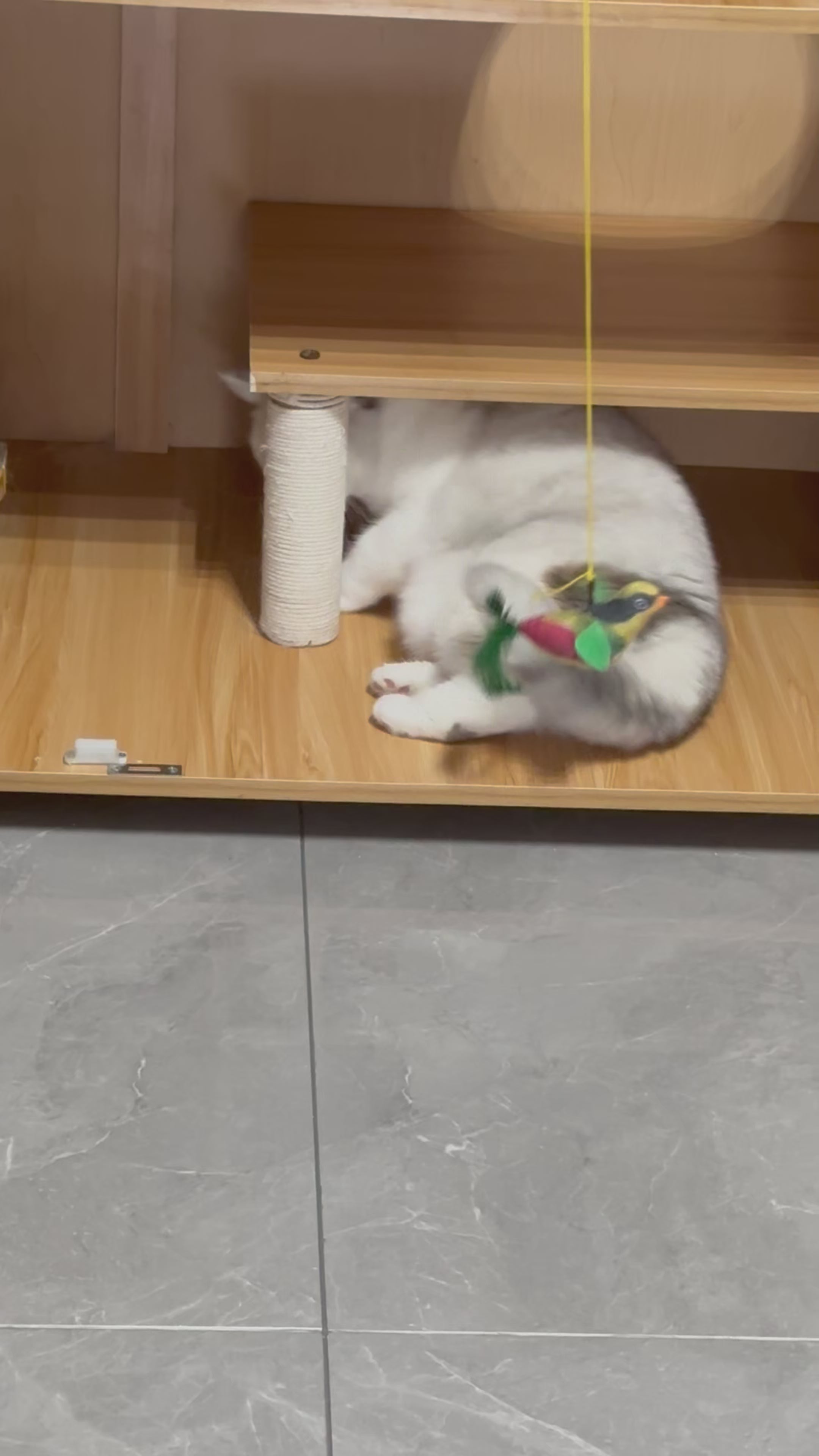 Interactive Chirping Bird Cat Toy | Realistic Sound & Fun Playtime